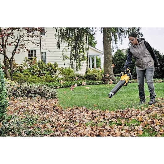 DEWALT 20V MAX* XR® Brushless Cordless Handheld Blower (Tool Only)