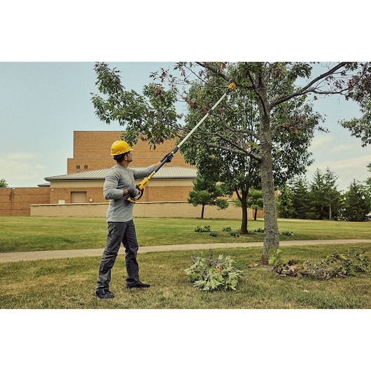 DEWALT 20V MAX* Cordless Pole Pruner (Tool Only)