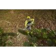 DEWALT 60V MAX* Brushless Cordless Fixed Pole Saw (Tool Only)